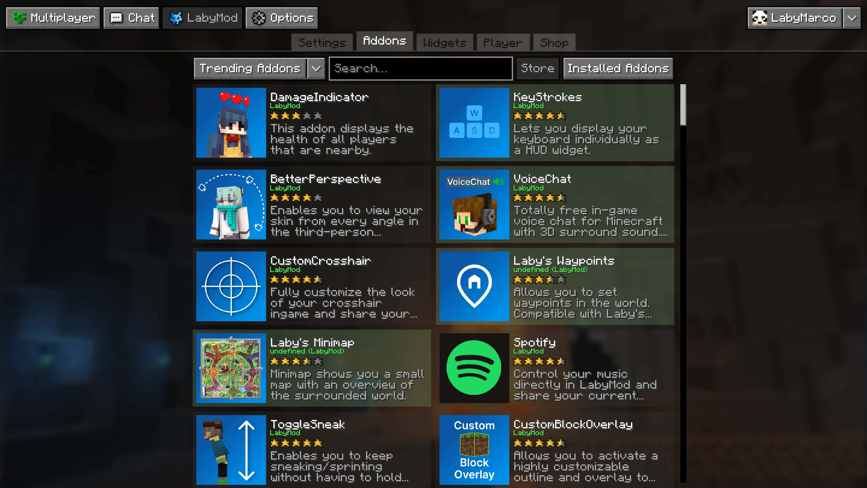LabyMod Addons Screenshot (vanilla)